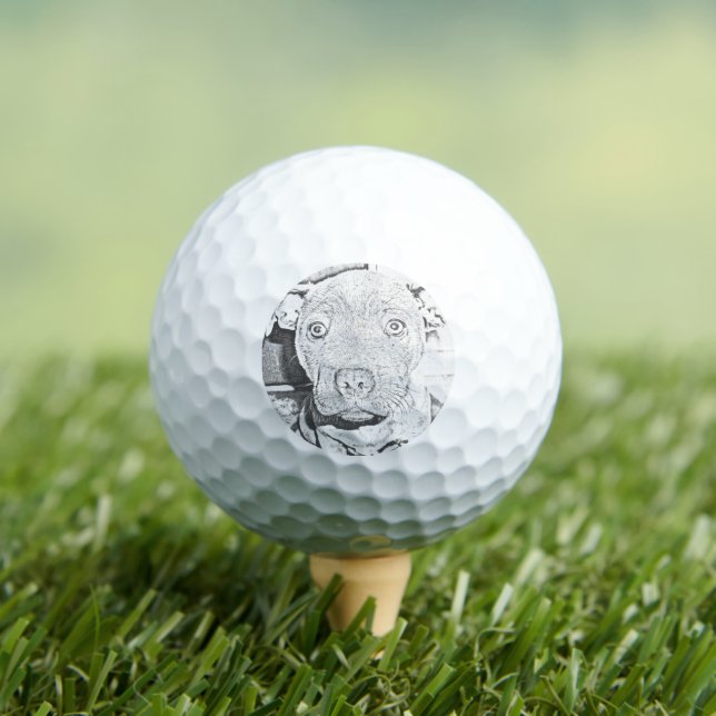 Staffordshire Puppy Pencil Drawing, Golf Balls (Insitu Tee)