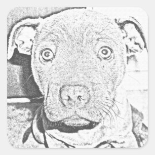 Staffordshire Puppy Pencil Drawing, Sticker