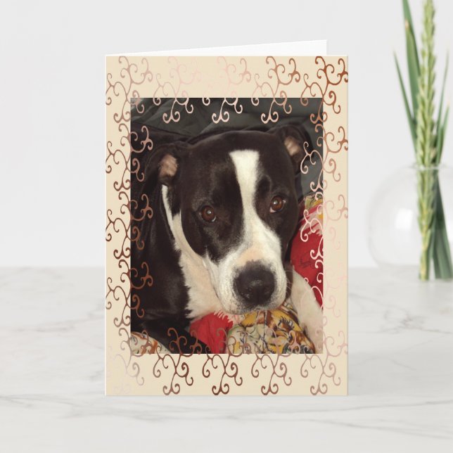 Staffordshire Terrier Blank Card (Front)