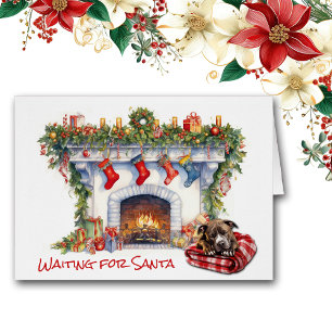 Staffordshire Terrier Dog attendre Père Noël