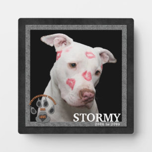 Staffordshire Terrier Dog Breed Memorial Plaque