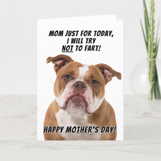 Staffordshire Terrier Greeting card Mother's day