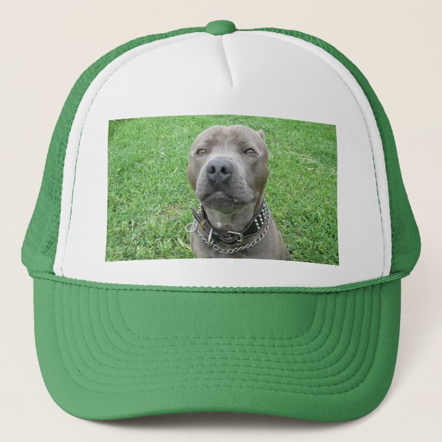 Staffy Has The Drool Face On, Trucker Hat (Front)