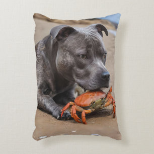 Staffy Is Friends With A Beach Crab, Accent Pillow