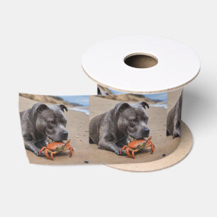 Staffy Is Friends With A Beach Crab, Satin Ribbon