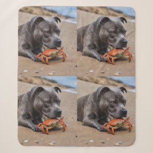 Staffy Is Friends With A Beach Crab, Sherpa Blanket