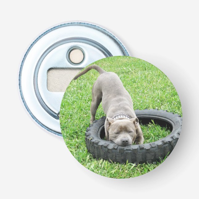 Staffy Play Time, Magnetic Bottle Opener (Front)