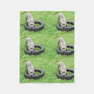 Staffy Playtime Small Fleece Blanket. Blanket