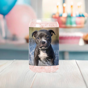 Staffy Puppy Splashing In The Sea, Can Glass