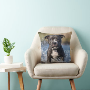 Staffy Puppy Splashing In The Sea,  Throw Pillow