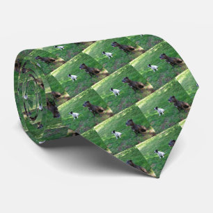 Staffy Treat Time, Neck Tie