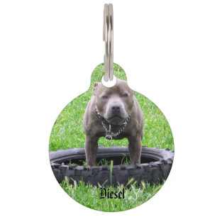Staffy With Diesel Name Logo, Pet Tag