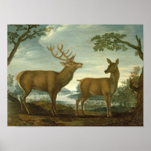 Stag and hind in a wooded landscape poster