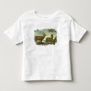 Stag and hind in a wooded landscape toddler t-shirt