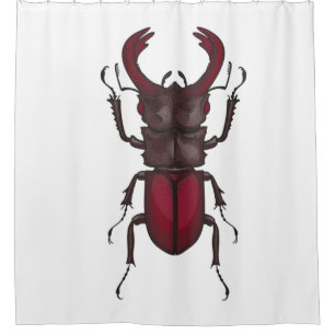 Stag beetle