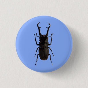 Stag Beetle 1 Inch Round Button