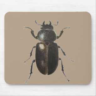 Stag Beetle 2011 Mouse Pad
