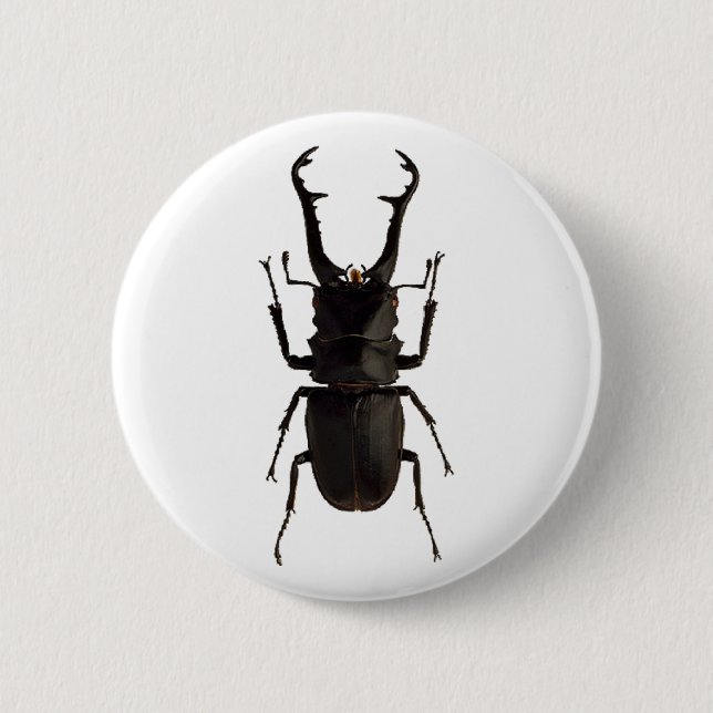 Stag Beetle 2 Inch Round Button (Front)