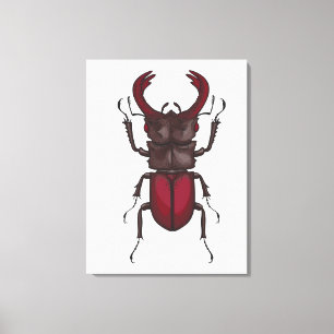 Stag beetle canvas print
