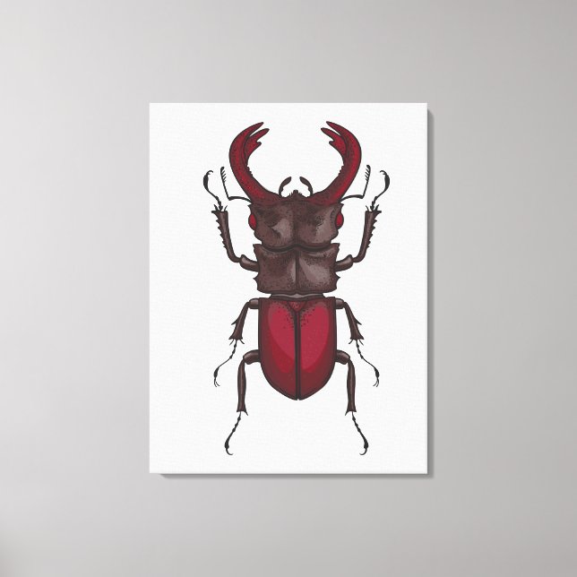 Stag beetle canvas print (Front)