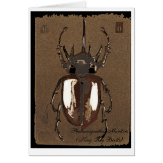 Stag Beetle Card