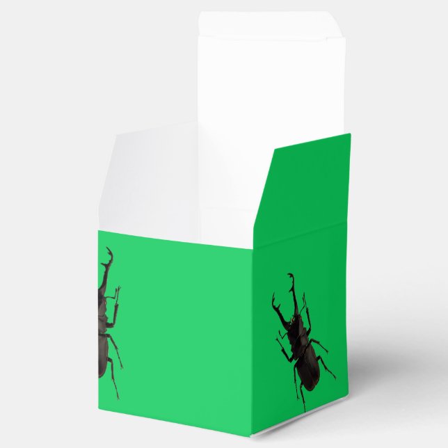 Stag Beetle Favor Box (Opened)