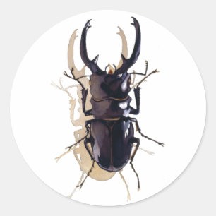 "Stag beetle" Insect Watercolor Art Classic Round Sticker