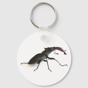 Stag beetle keychain
