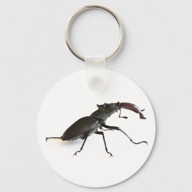 Stag beetle keychain (Front)