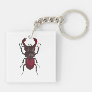 Stag beetle keychain