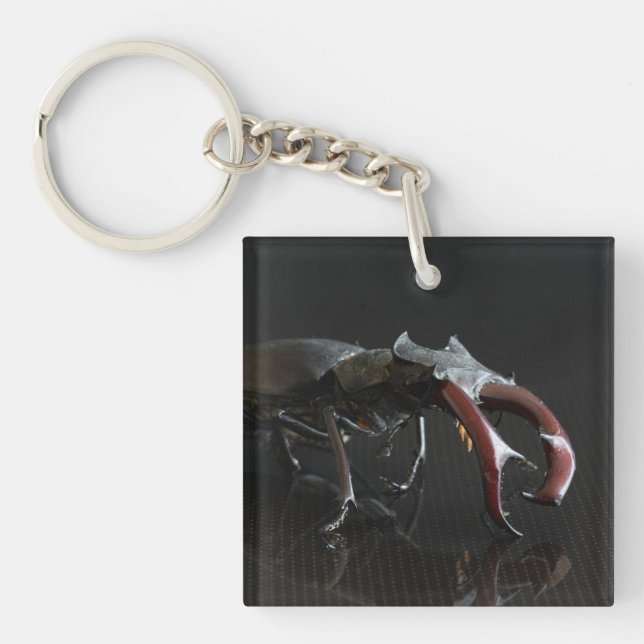 Stag beetle keychain (Front)