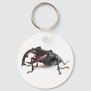 Stag beetle keychain