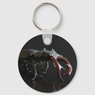 Stag beetle keychain