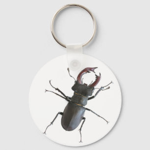 Stag beetle keychain