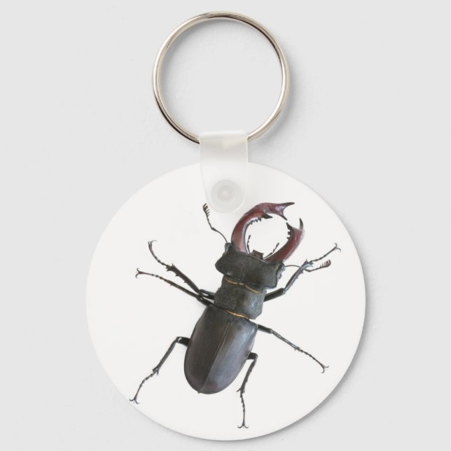 Stag beetle keychain (Front)