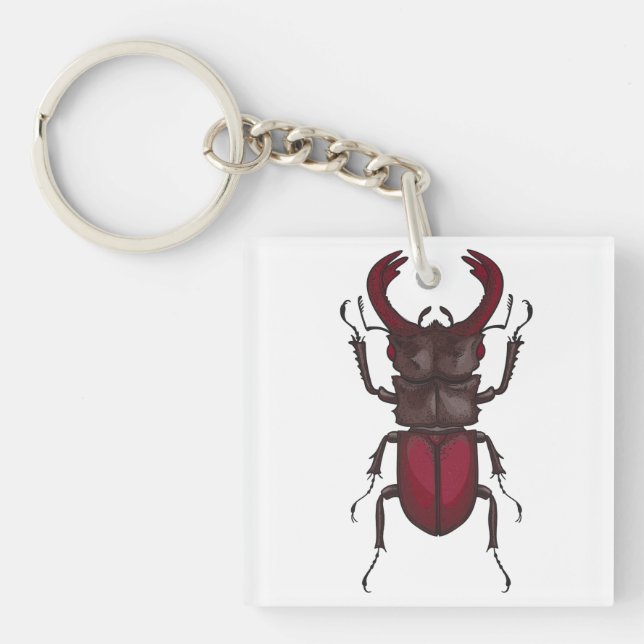 Stag beetle keychain (Front)