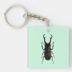 Stag Beetle Keychain