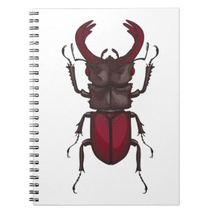 Stag beetle notebook