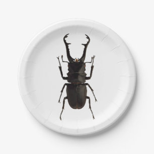 Stag Beetle Paper Plate