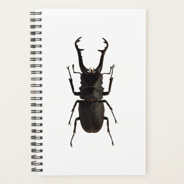 Stag Beetle Planner (Front)