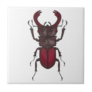 Stag beetle tile