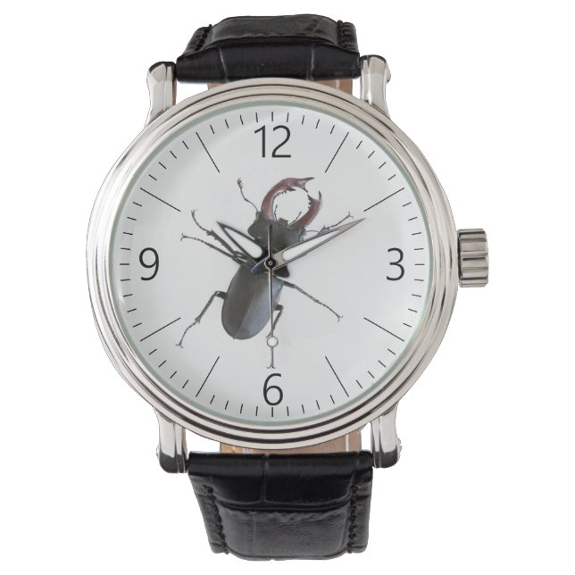 Stag beetle watch (Front)