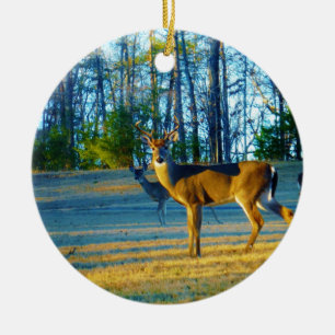 Stag / Buck Deer, Bright blue Sky Ceramic Ornament