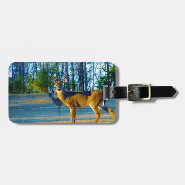 Stag / Buck Deer, Bright blue Sky Luggage Tag (Front Horizontal)