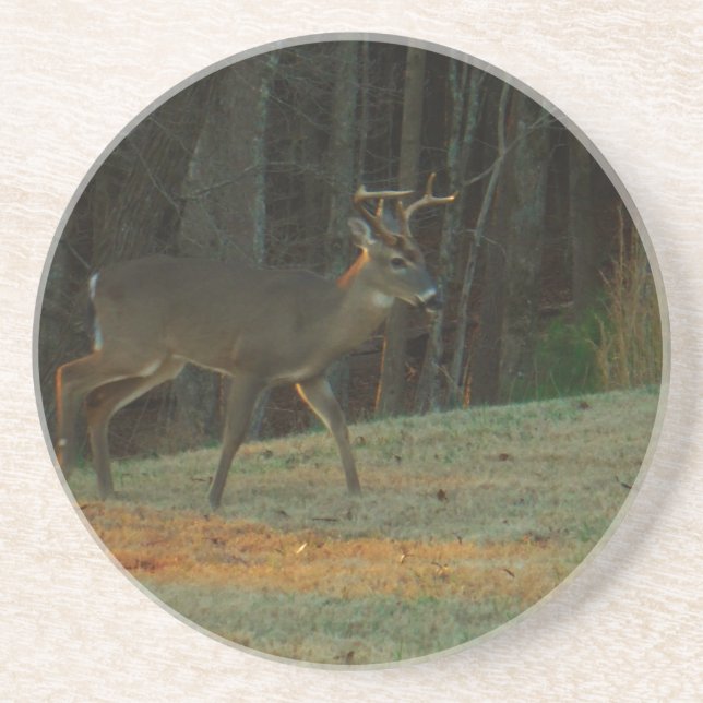 Stag / Buck  Deer Green Camouflage Coaster (Front)