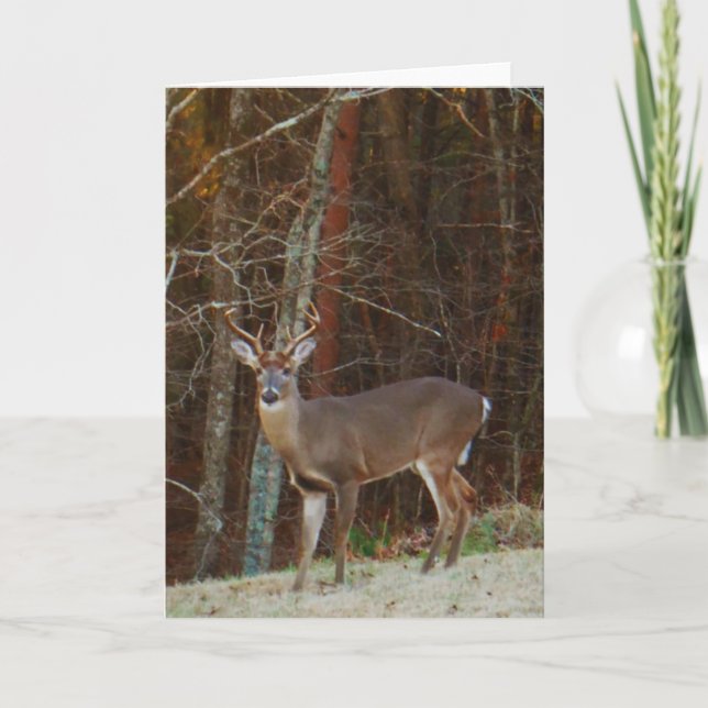 Stag / Buck Deer Oak Camouflage Holiday Card (Front)