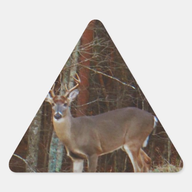 Stag / Buck  Deer Oak Camouflage Triangle Sticker (Front)