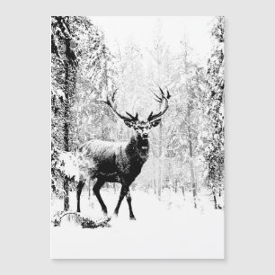 Stag Deer Winter Forest Wildlife Animal Nature Art