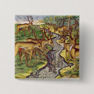 Stag Hunt, from 'Brevis Narratio' 2 Inch Square Button