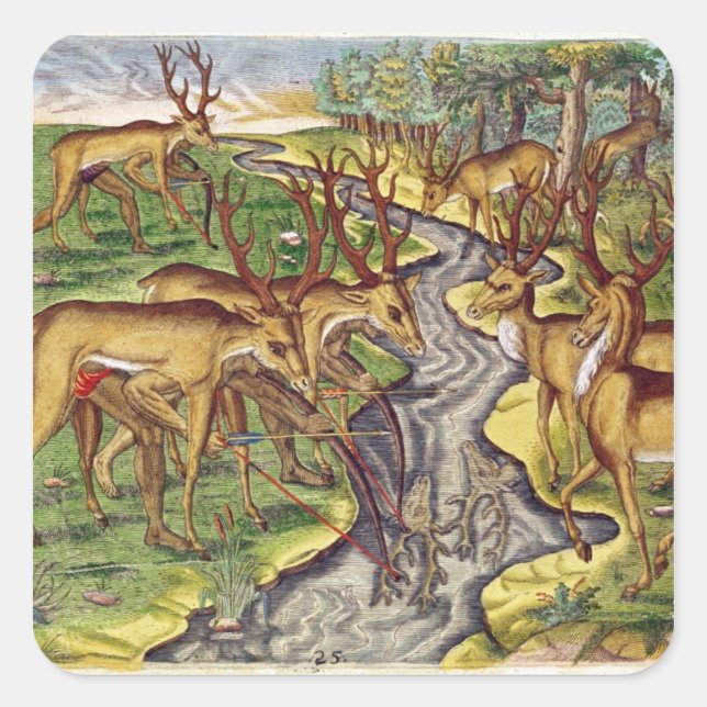Stag Hunt, from 'Brevis Narratio' Square Sticker (Front)